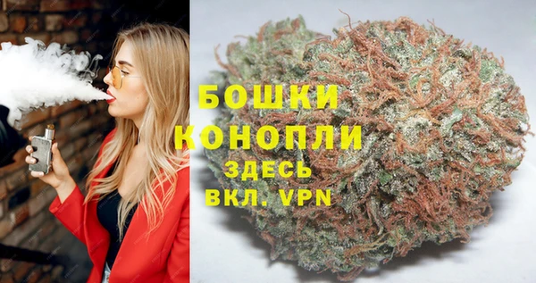 прущие грибы Абдулино