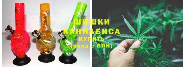 PSILOCYBIN Абаза