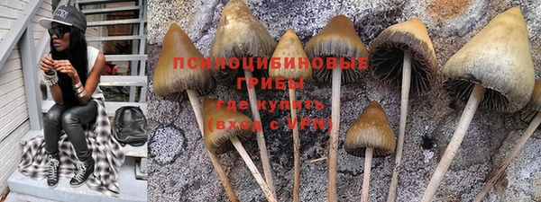 прущие грибы Абдулино