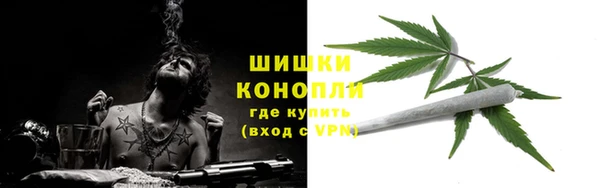прущие грибы Абдулино