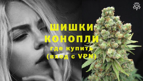 PSILOCYBIN Абаза