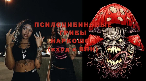 PSILOCYBIN Абаза
