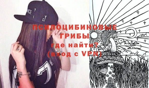 прущие грибы Абдулино