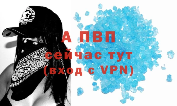 прущие грибы Абдулино
