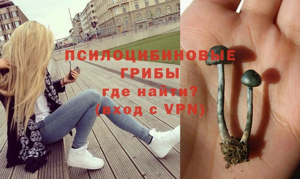 PSILOCYBIN Абаза